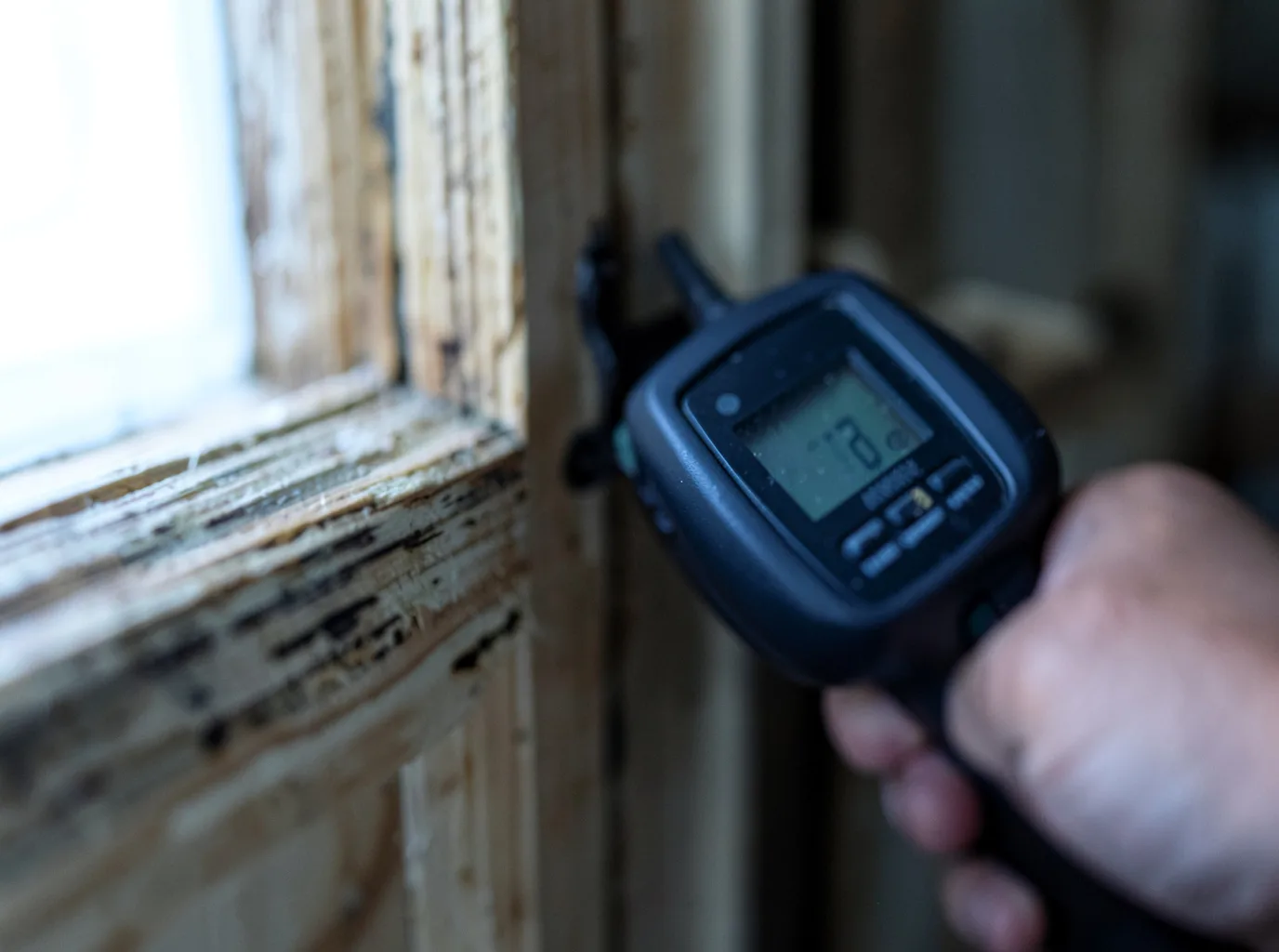 Moisture Inspection And Documentation in Walhalla, MI